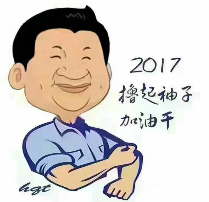 2017年，“大家擼起袖子加油干”！